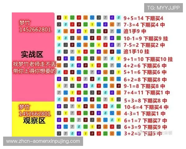 如何利用金鹰全天飞艇计划中的各种资源和道具，提升你的游戏效率和胜率